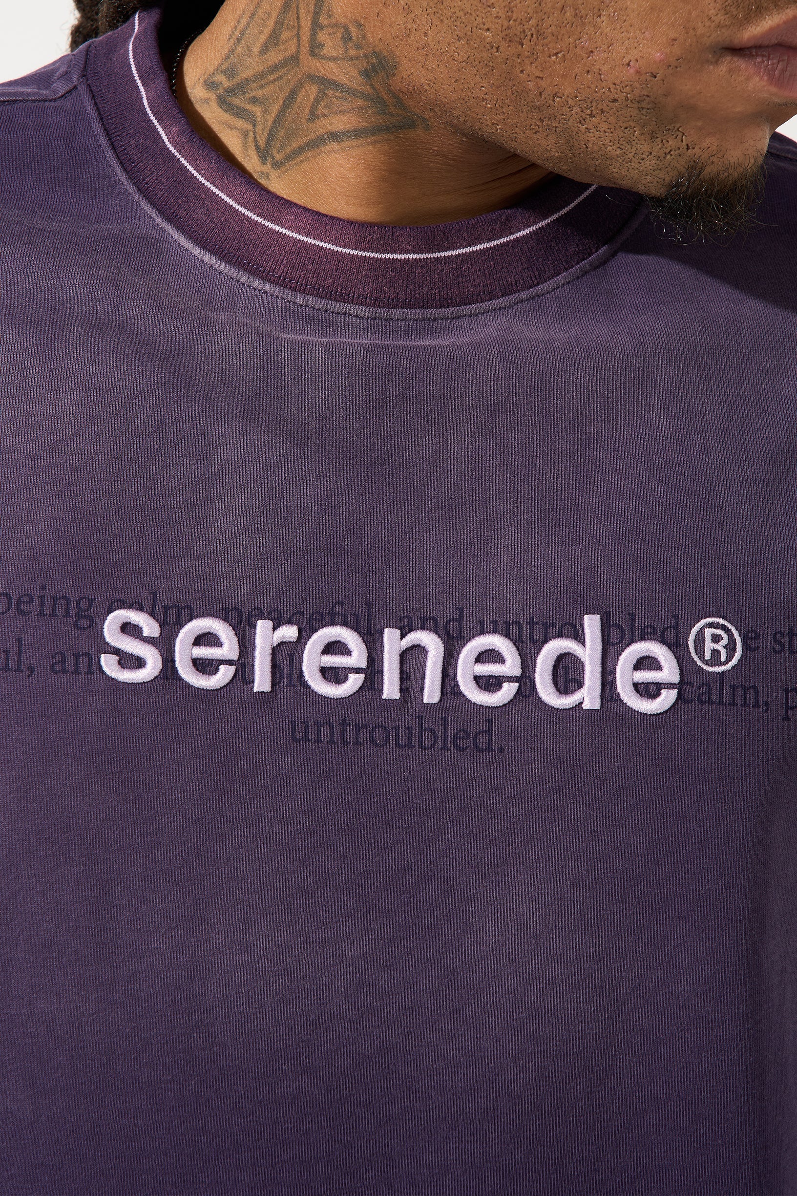 SKYLETTER Grape T-Shirt - Image 5